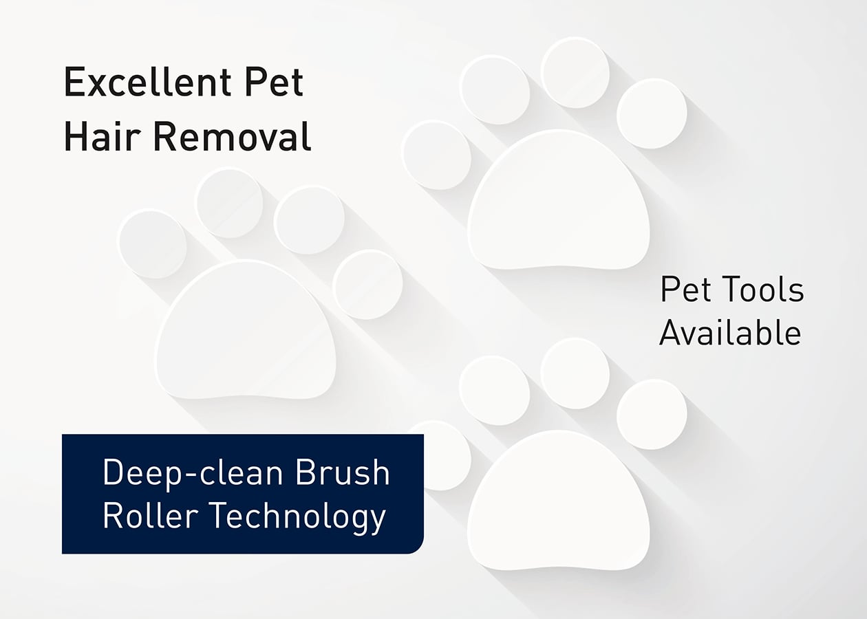 Pet Hair Removal